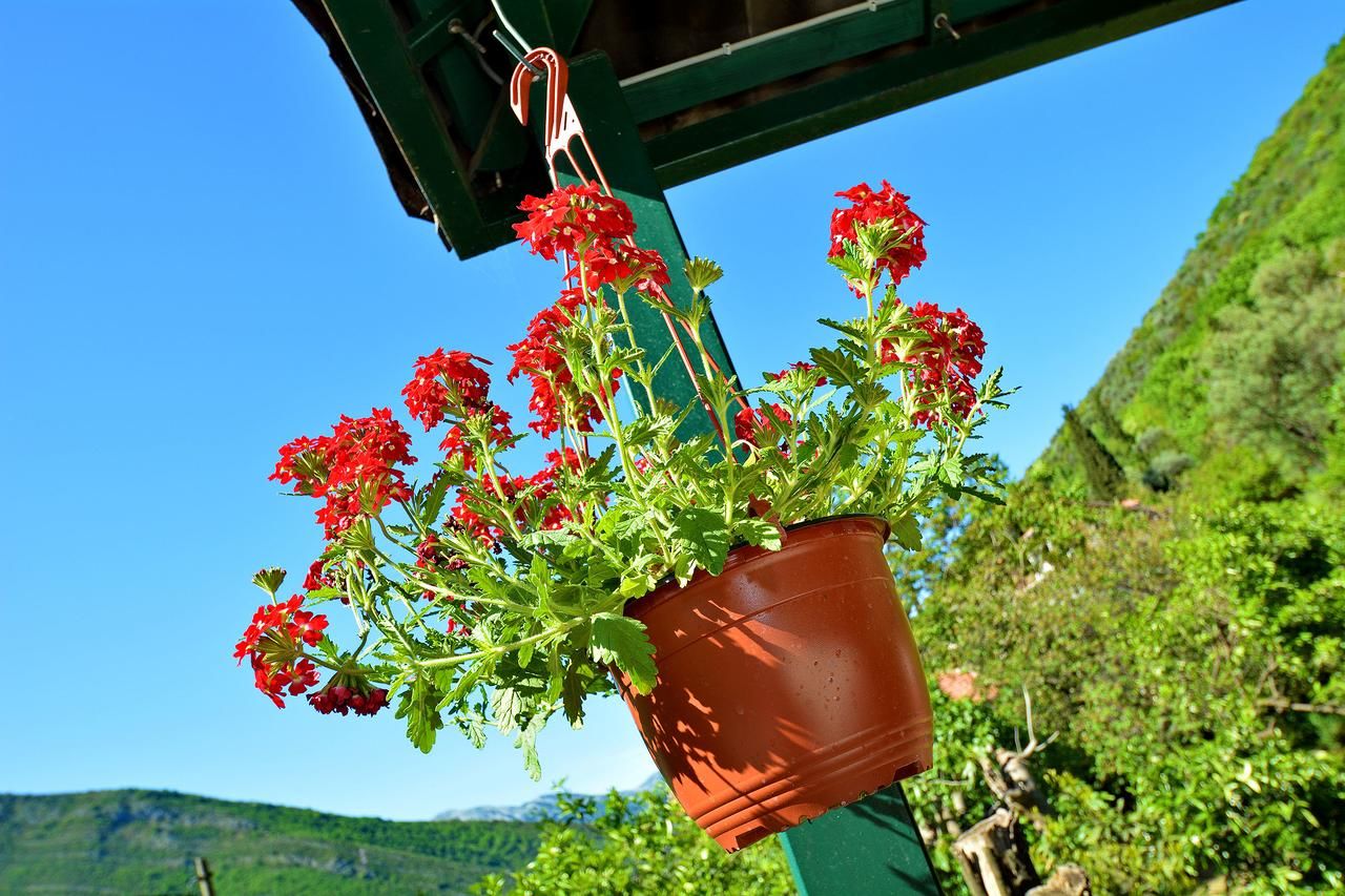 Апартаменты Apartments Dinko Zifra Тиват-18